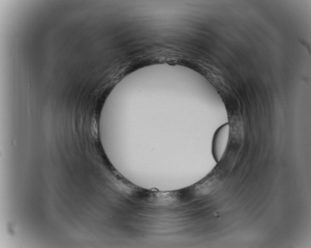 X0000098200622200804241040