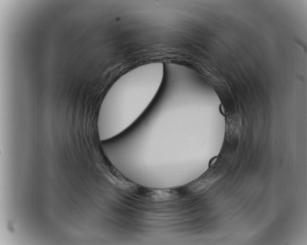 X0000098200623200804241040