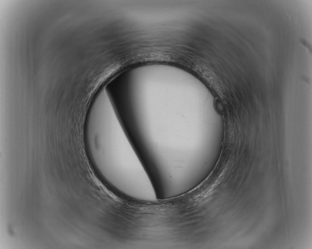 X0000098200625200804241039