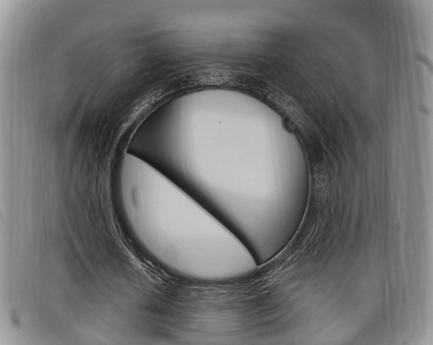 X0000098200626200804241039