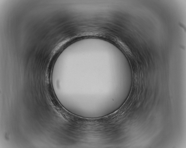 X0000098200628200804241039