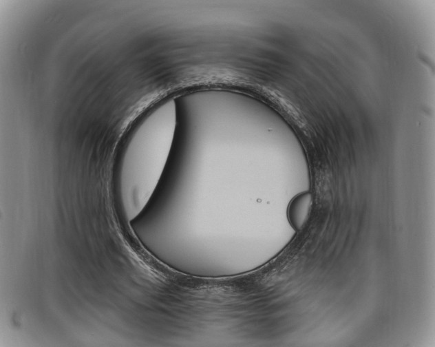 X0000098200629200804241039