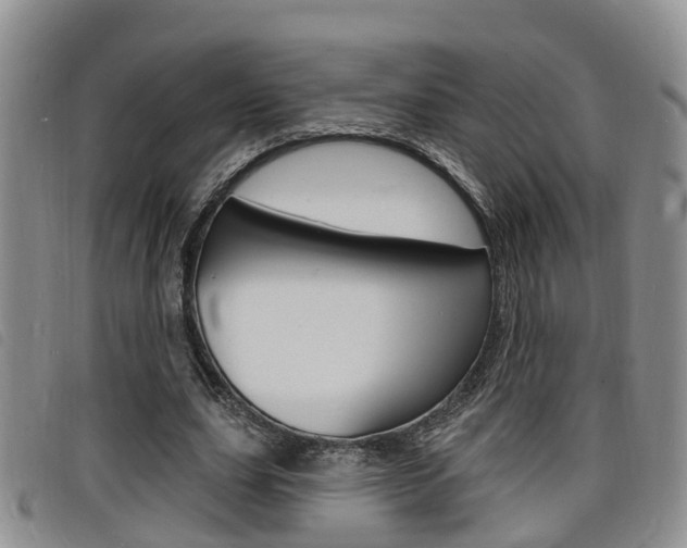 X0000098200631200804241039
