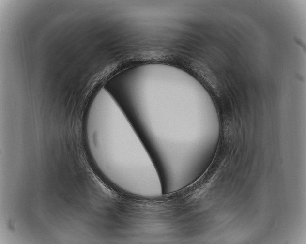 X0000098200633200804241039