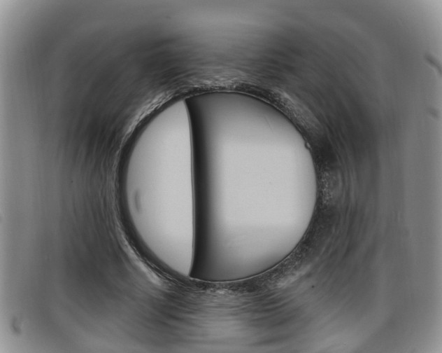 X0000098200634200804241039