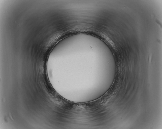X0000098200635200804241039