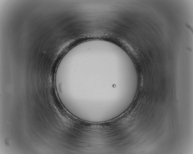X0000098200636200804241039