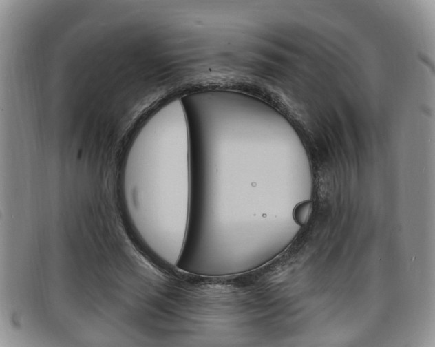X0000098200637200804241039