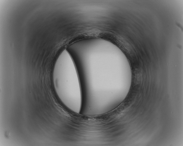 X0000098200641200804241040