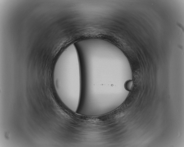 X0000098200642200804241040