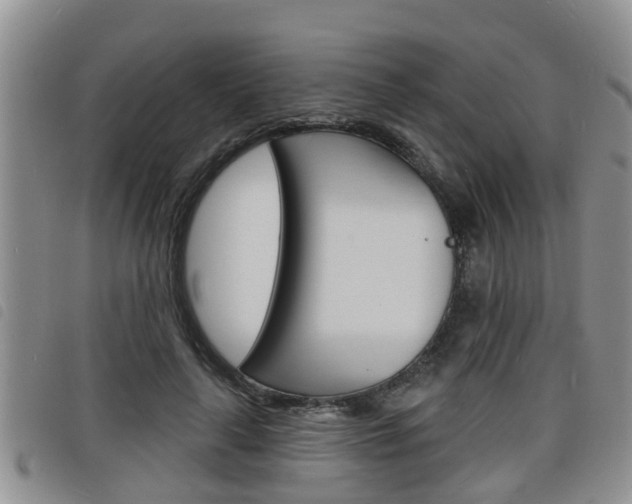 X0000098200643200804241040