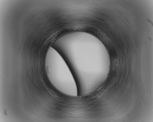 X0000098200644200804241040
