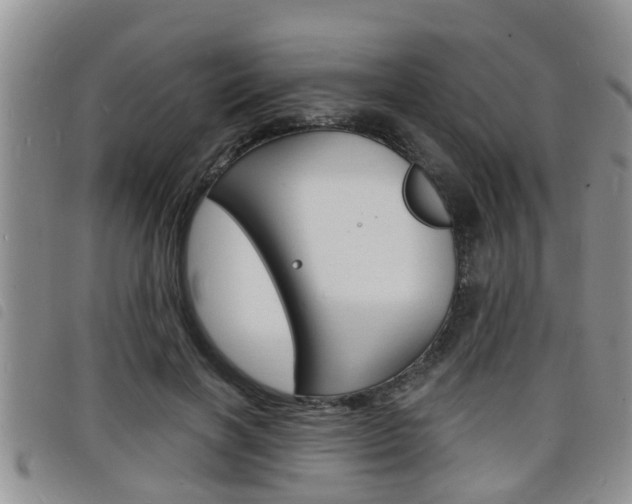 X0000098200646200804241040