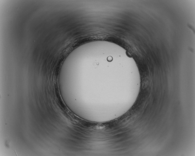 X0000098200647200804241040