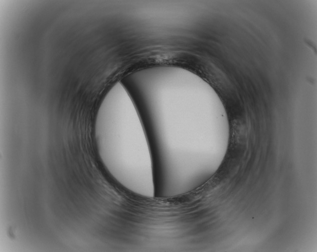 X0000098200650200804241040