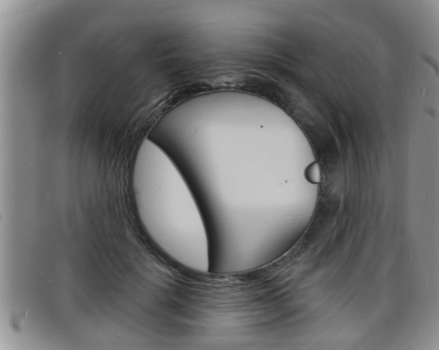 X0000098200652200804241040
