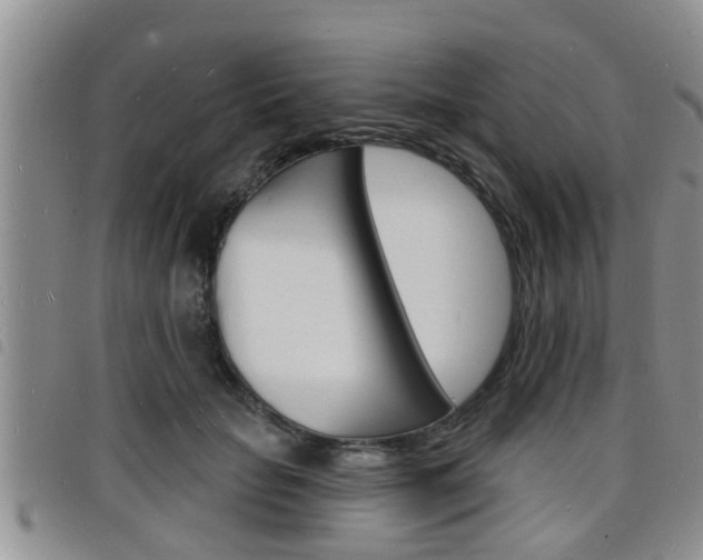 X0000098200653200804241040