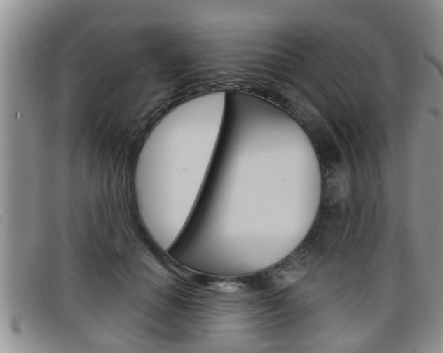 X0000098200654200804241040