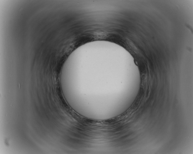 X0000098200655200804241040