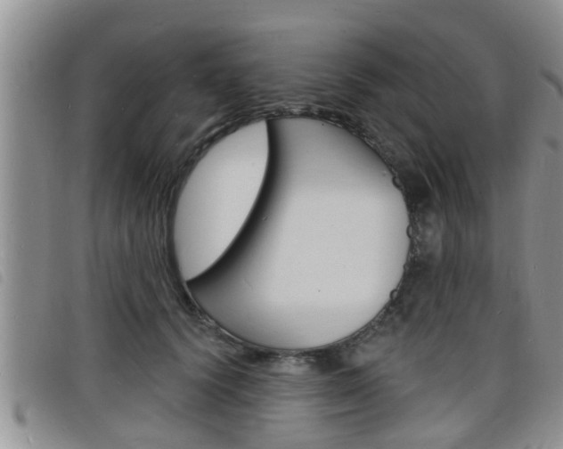 X0000098200656200804241040