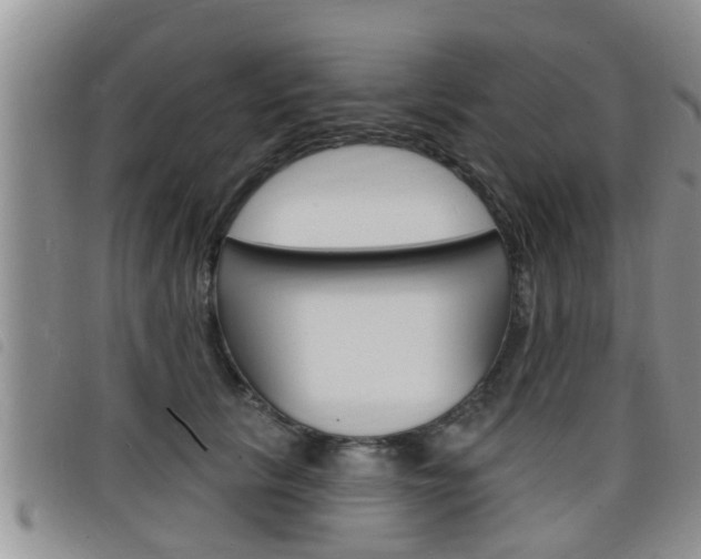 X0000098200657200804241040