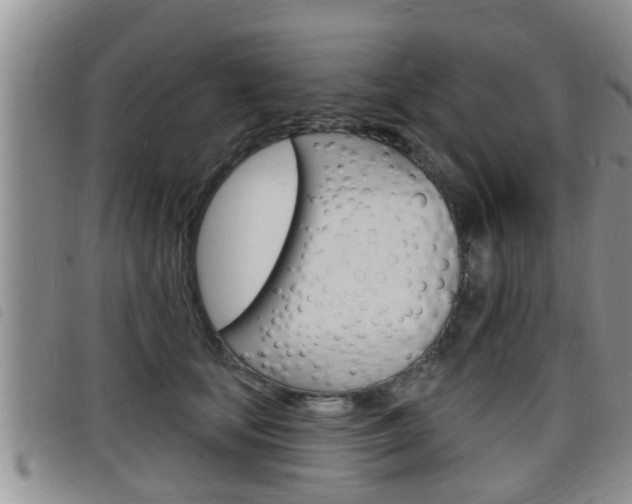X0000098200659200804241040