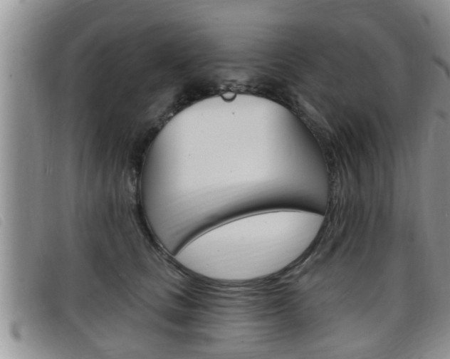 X0000098200661200804241040
