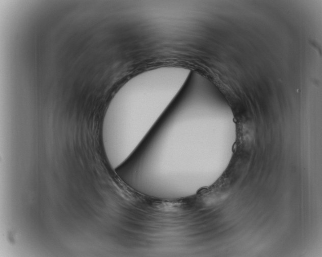X0000098200664200804241040