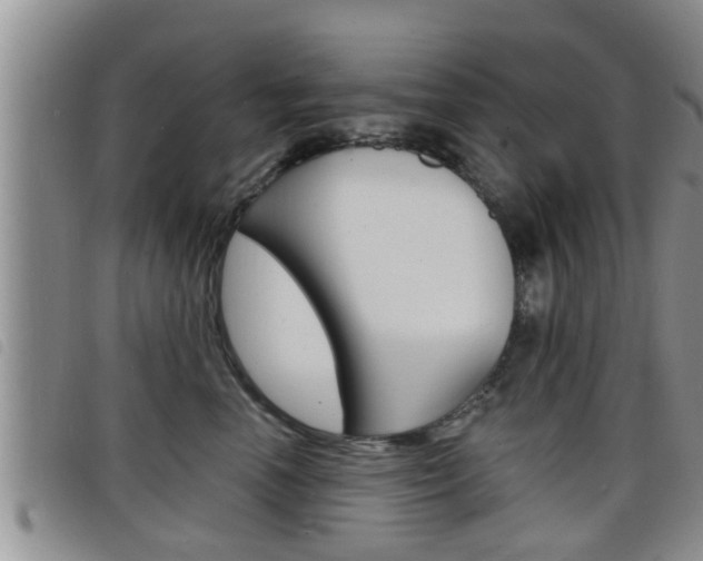 X0000098200666200804241040