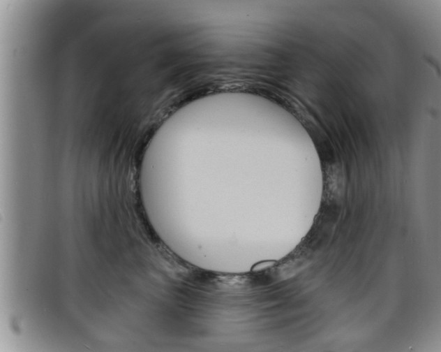X0000098200667200804241040