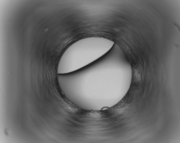 X0000098200668200804241040