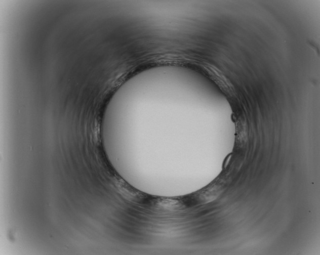 X0000098200669200804241040