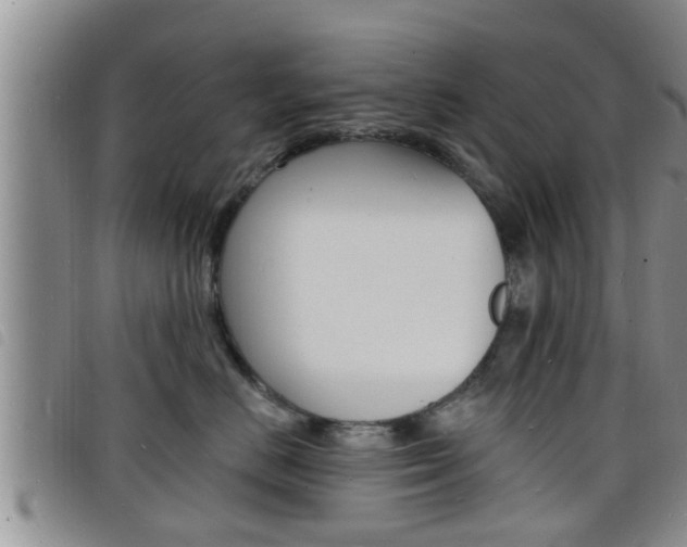 X0000098200670200804241040