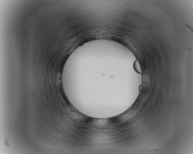 X0000098200671200804241040