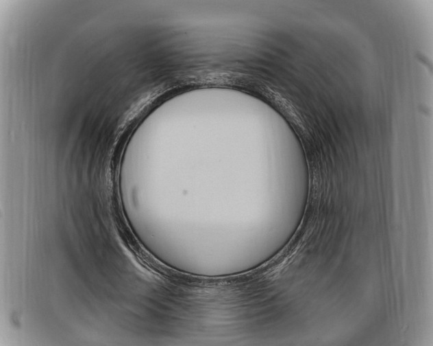 X0000098200674200804241039