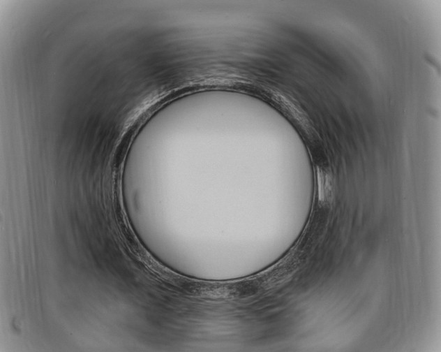 X0000098200675200804241039