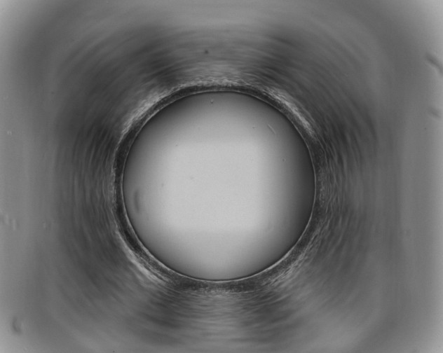 X0000098200677200804241039