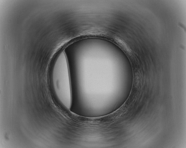 X0000098200680200804241039