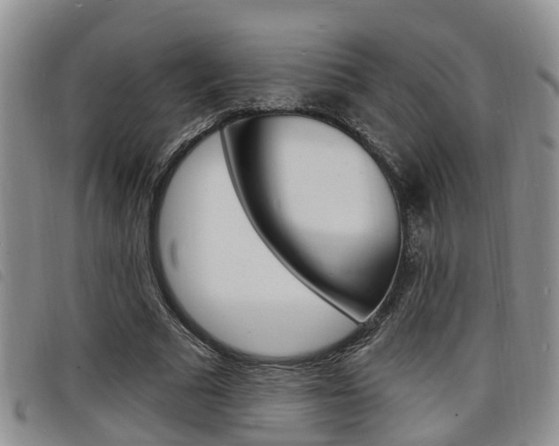 X0000098200681200804241039