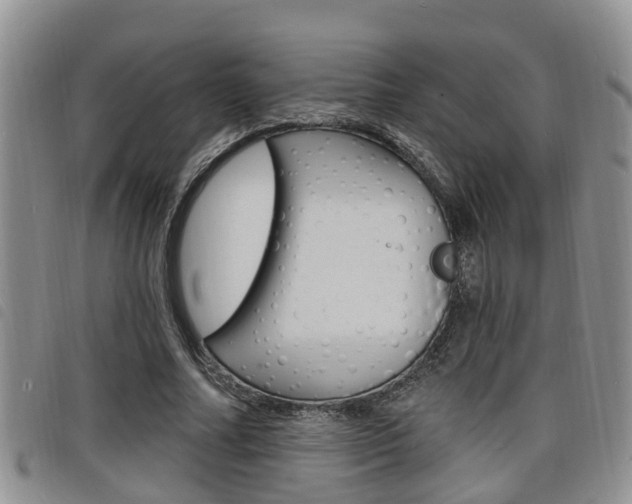 X0000098200682200804241039