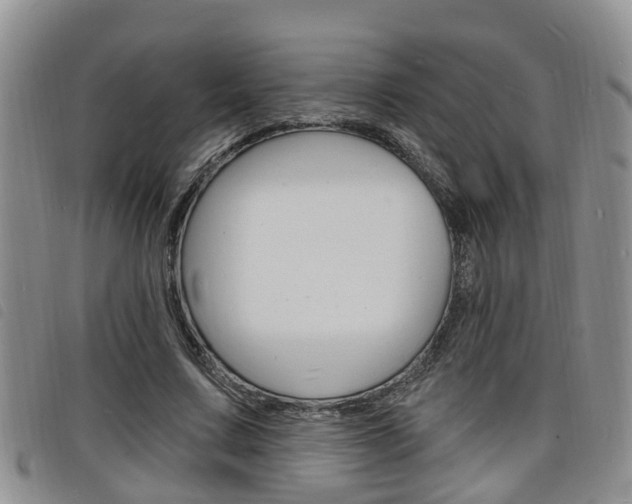 X0000098200683200804241039