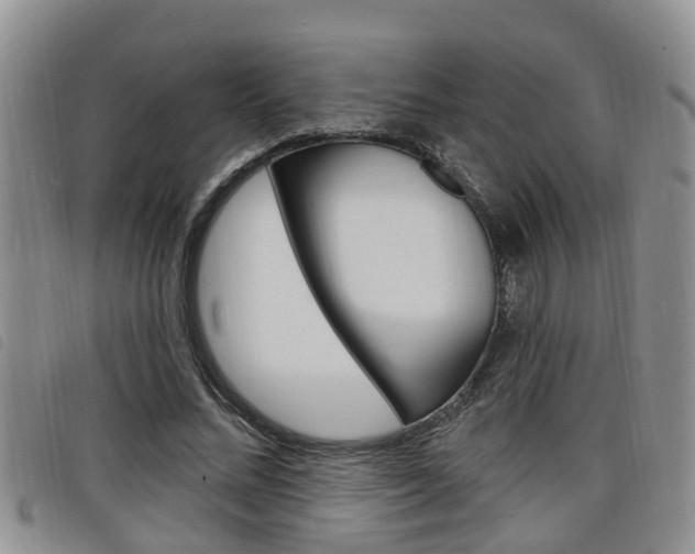 X0000098200684200804241039