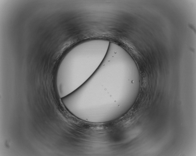 X0000098200687200804241039