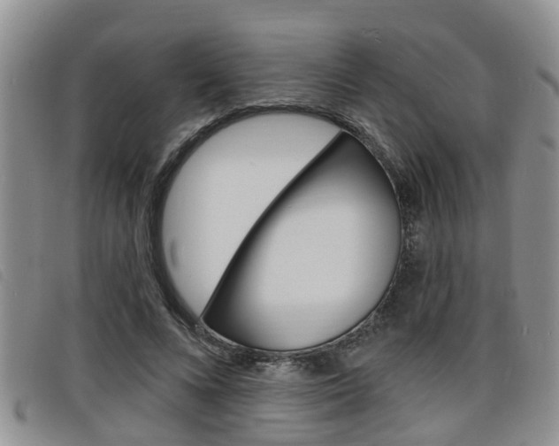 X0000098200688200804241039