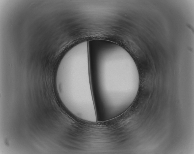 X0000098200689200804241039