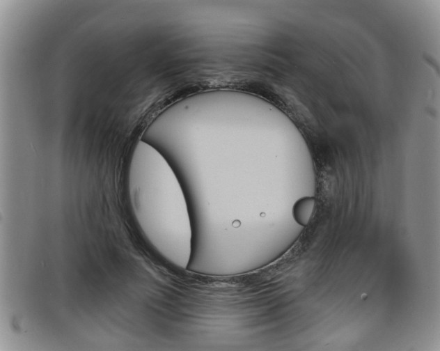 X0000098200691200804241039
