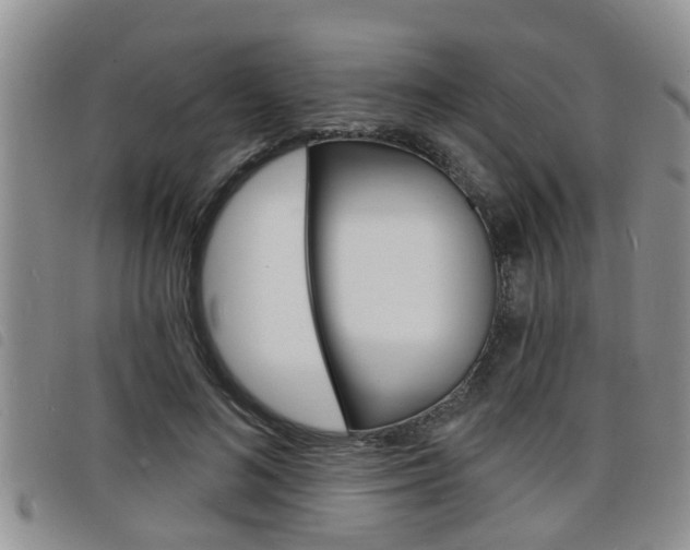 X0000098200692200804241039