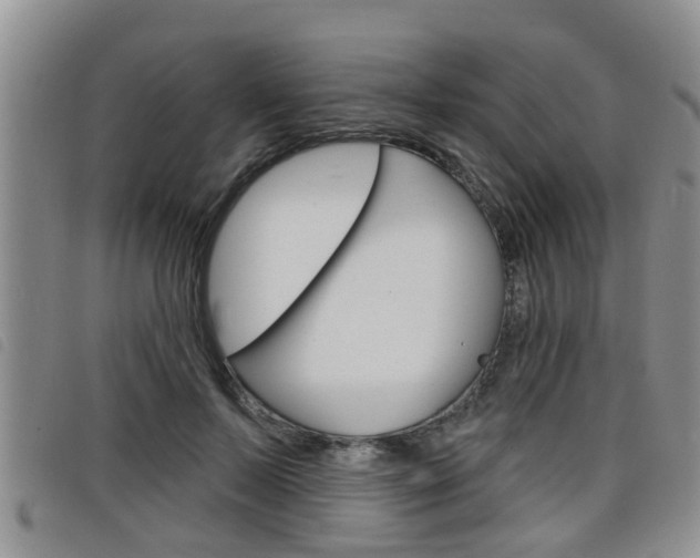 X0000098200695200804241039