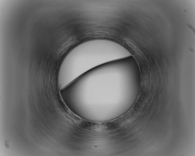 X0000098200696200804241039