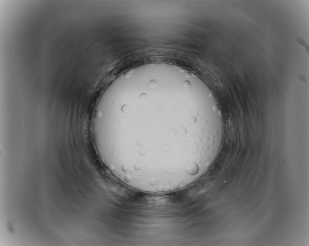 X0000098200698200804241039